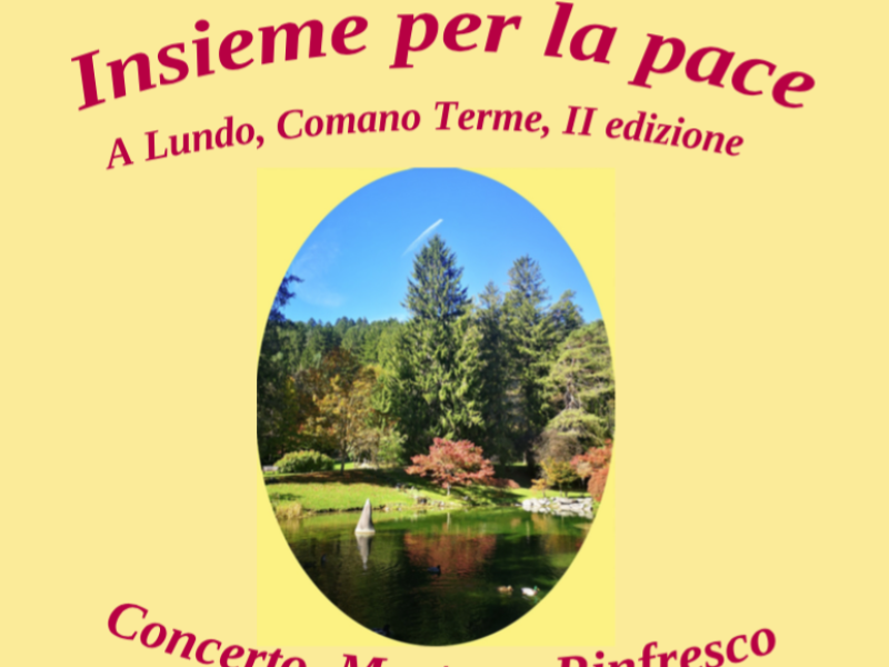 Insieme per la pace - II Edizione