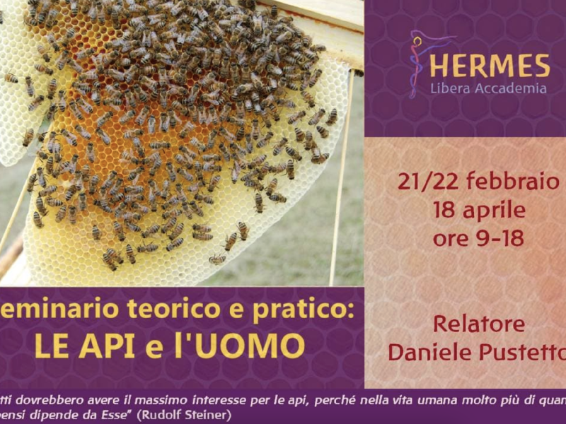 Le Api e l'Uomo