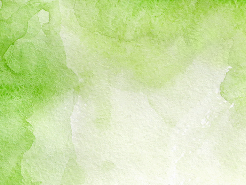 Riconoscimento ed uso delle erbe spontanee