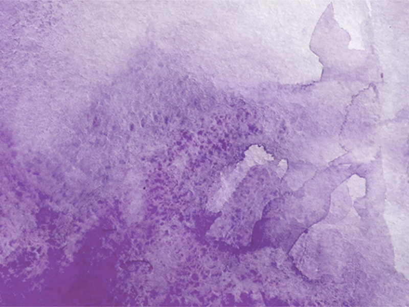 L’altra metà della biografia: dalla morte alla nuova nascita