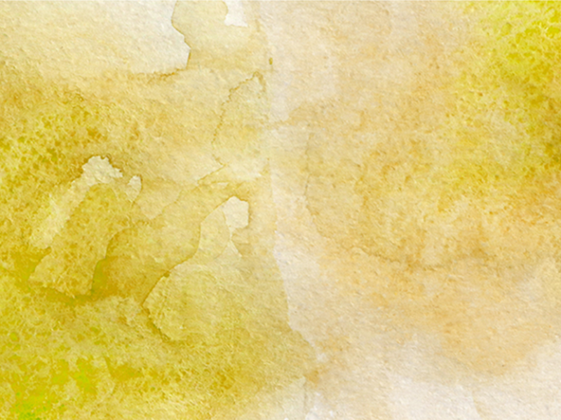 Sulle tracce di Michele